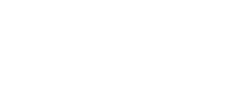 LJ Immobilier
